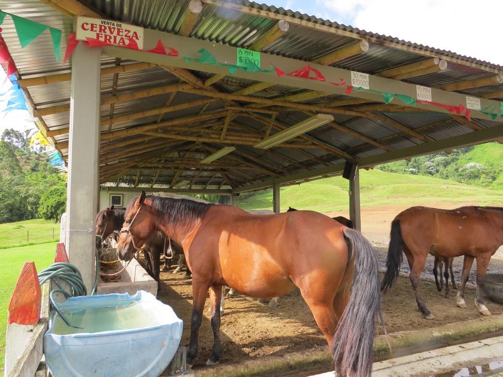 Finca Recreacional Marcelandia Santa Rosa de Cabal Exterior photo